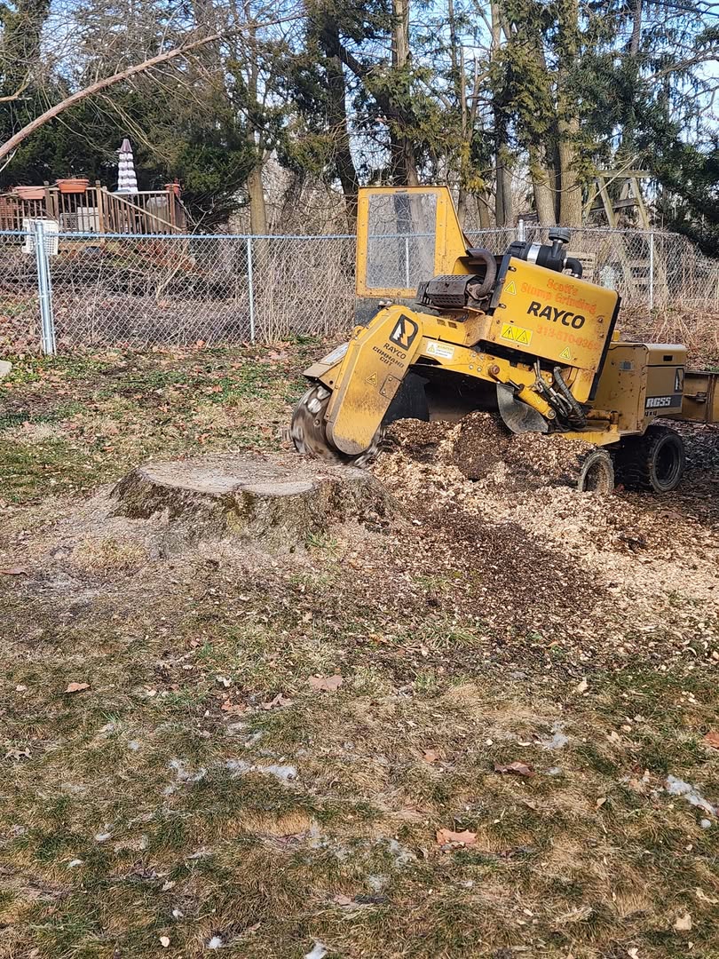 Before — tree stumps on a residential job site in Ann Arbor, Michigan