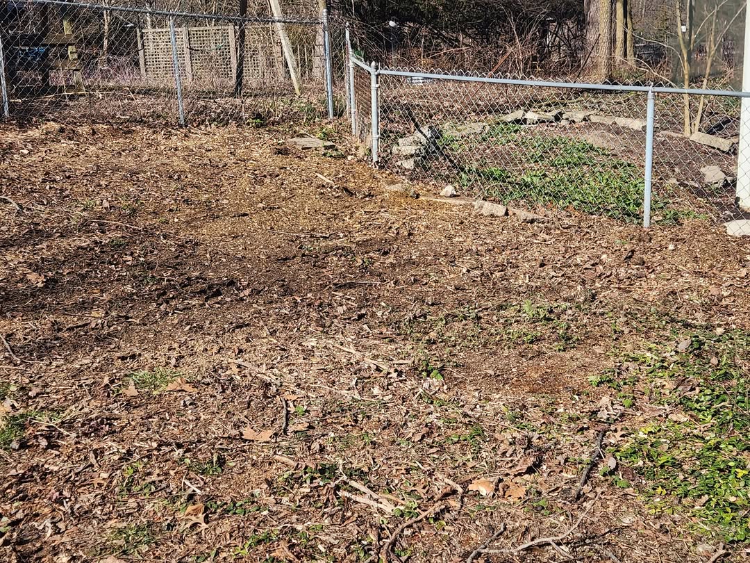 Stump grinding work in progress on an Ann Arbor job