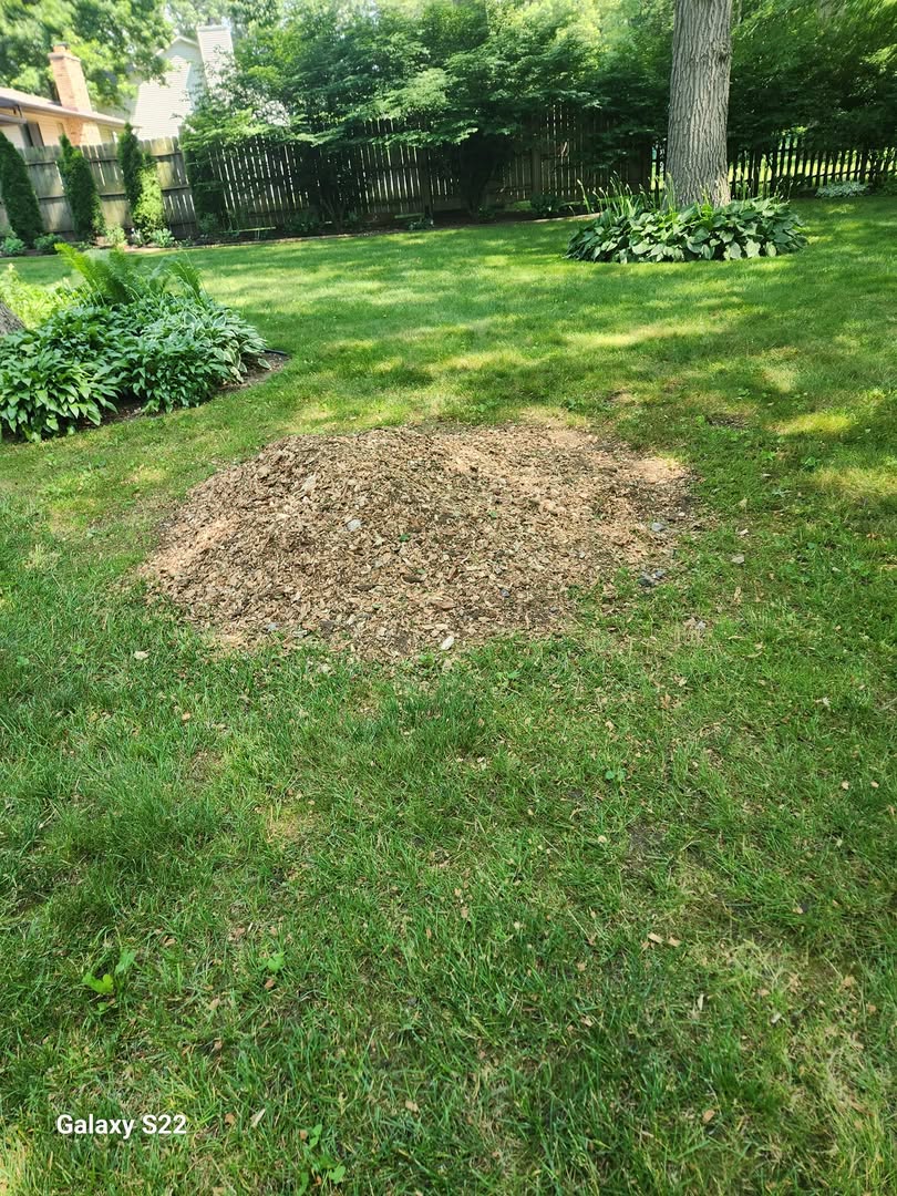 After — stump ground and wood chips left on lawn in Davisburg